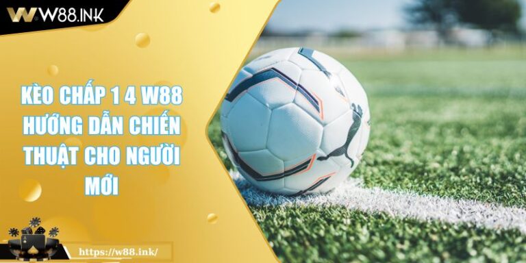 Kèo Chấp 1 4 W88 Hướng Dẫn Chiến Thuật Cho Người Mới